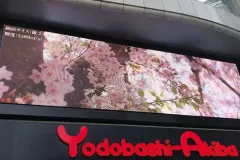 https___www.irodorinet.jp_temp_casestudy_ledscreen_yodobashi_akiba04-jpg